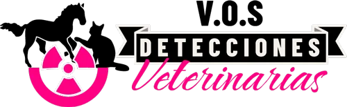 logo-vos-detecciones-web-500px